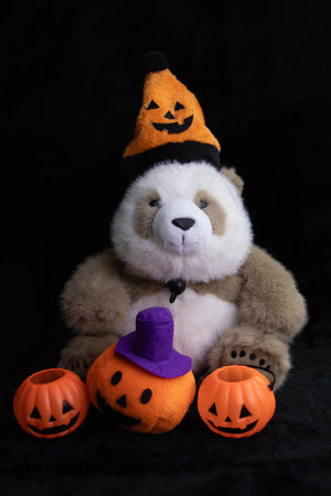 Panda with Halloween hat surrounded with Jack O'lantern on Black backgroundの写真素材