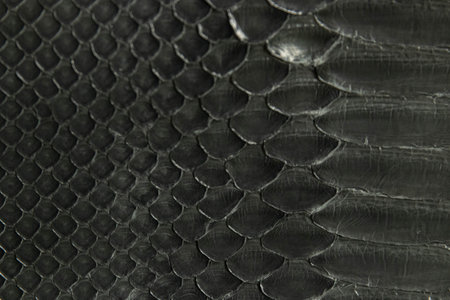 Python skin has a natural pattern of geometric shapes, which can be either bleached out for a solid...