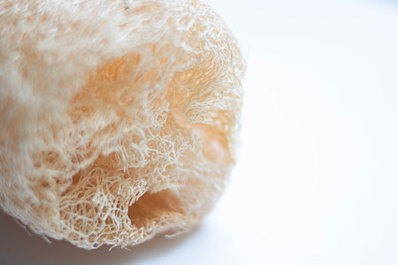 Loofah on white background. Shallow depth of field.