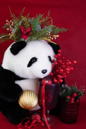 Panda Doll with a tiny Christmas tree on red backgroundの写真素材