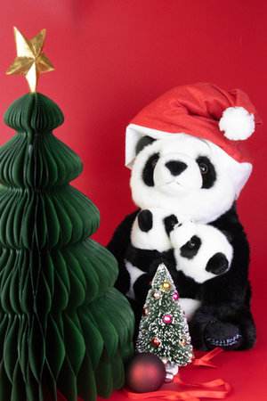Panda and christmas tree on red background with copy space.の写真素材