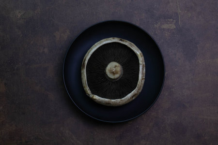 Abstract detail of Texture and pattern of Portobello mushroom , Agaricus bisporusの写真素材