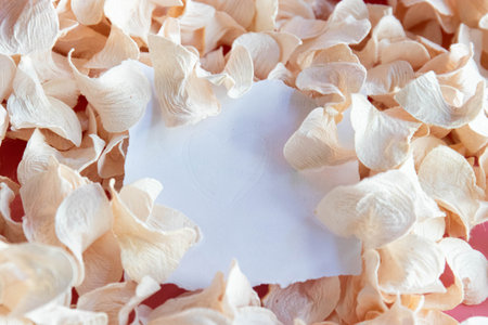 Where Love Leaves a Trace, A delicate scatter of pale, dried flower petals surrounds a torn piece of white paper, softly embossed with the outline of a heart.の写真素材