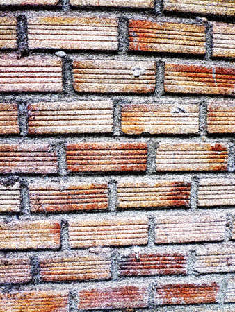 Background of brick wall texture