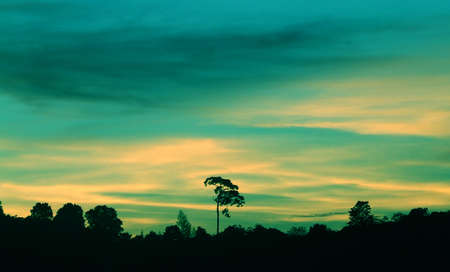 colorful sunset with blue sky and nature viewの写真素材