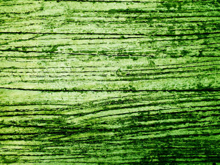 abstract green background の写真素材
