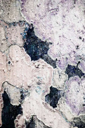 tree bark abstract grunge background texture の写真素材