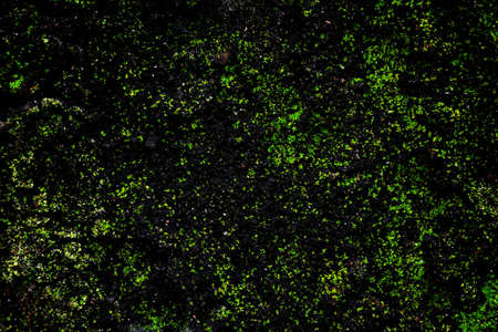 Old concrete wall texture  backgroundの写真素材