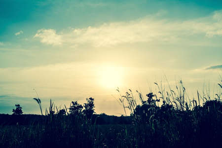 sunset in countryside ,Thailandの写真素材