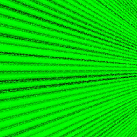 grunge  green line abstract background