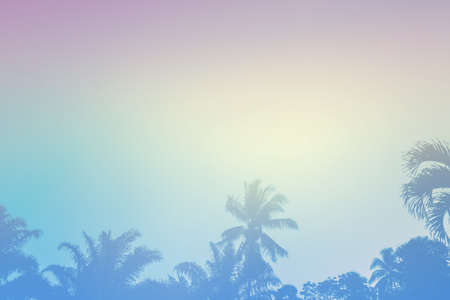 sky and sun and coconut tree summer illustration background
