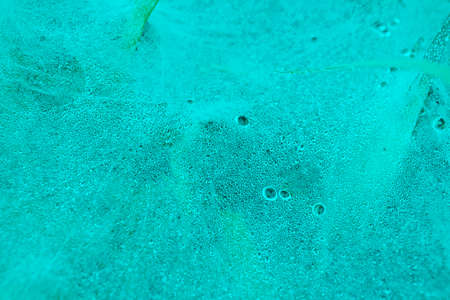 abstract blue spider web background with water drop cover on green grass soft focusの写真素材