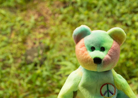 lovely bear and green grass  backgroundの写真素材