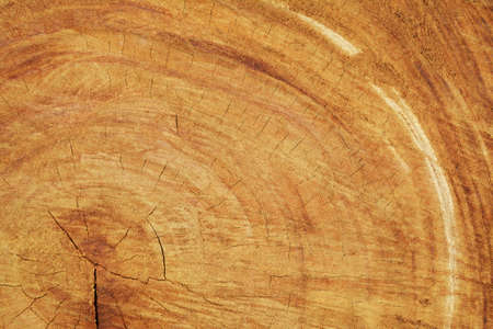 brown wood texture backgroundの写真素材