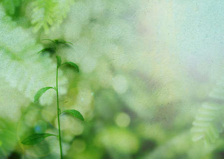 soft green bokeh from nature backgroundの写真素材