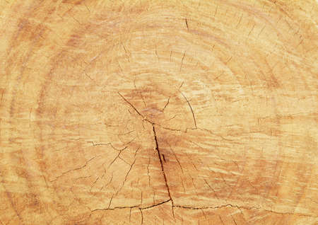 brown wood texture background