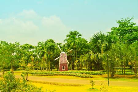 Tropical plant garden  landscape backgroundの写真素材