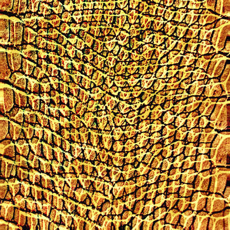 seamless snake  skin pattern