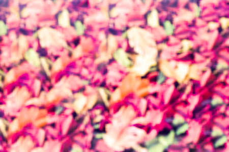 Colorful abstract backgroundの写真素材