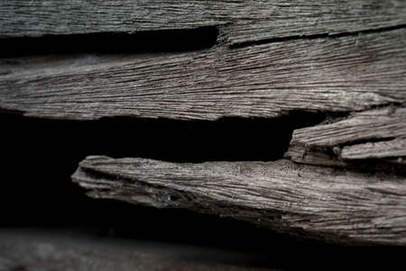 grunge black wood  abstarct haloween backgroundの写真素材