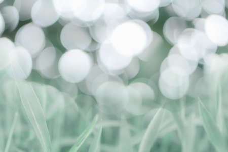 green light bokeh with grass soft focus backgroundの写真素材