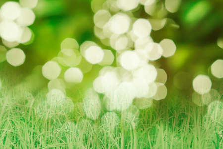 green  light bokeh  with grass backgroundの写真素材