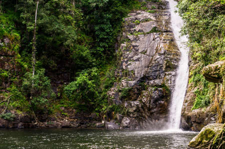 green forest and waterfall  landscape  background