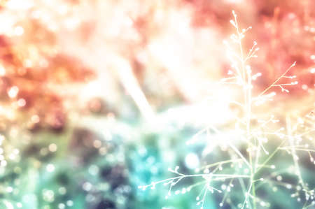 soft focus colorful bokeh and grass flower  spring nature  with filter effect  backgroundの写真素材
