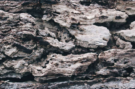 old  gray wood  texture  abstract art backgroundの写真素材