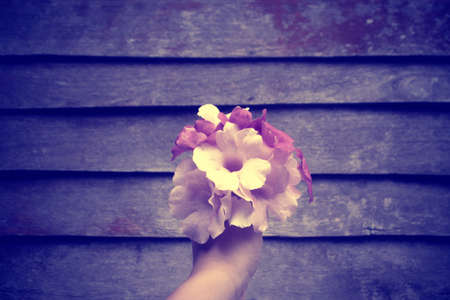 Beautiful  violet flower  bouquets in hand の写真素材