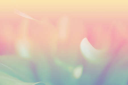 soft focus pastel  abstarct color  peaceful   background