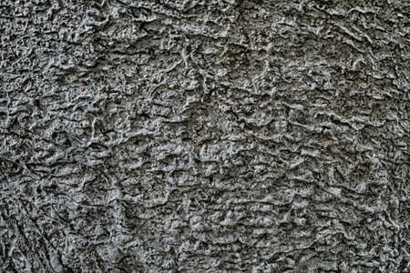 Abstract gray  and black texture  background