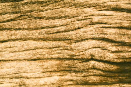 grunge brown wood  texture  pattern wallpaper  nature backgroundの写真素材