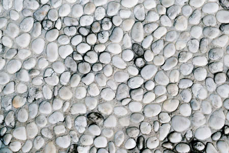 White   pebbles  stone  decorate walll   abstract nature backgroundの写真素材