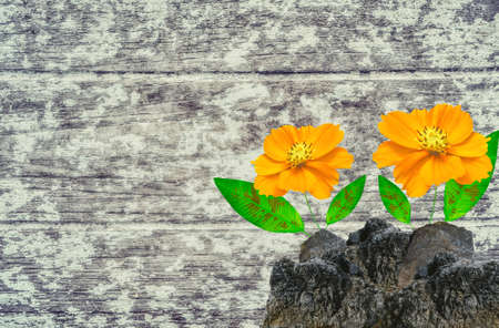 Yellow cosmos  on brown and gray  grunge art texture  vintage  color wallpaper backgroundの写真素材