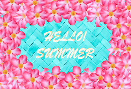  pink flower and blue  bamboo weave  summer,holiday banner background