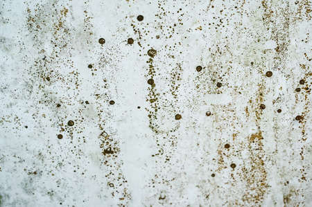 dirty old  gray wall  abstract texture background
