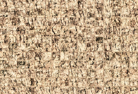 grunge brown pattern texture design abstract template ,layout background