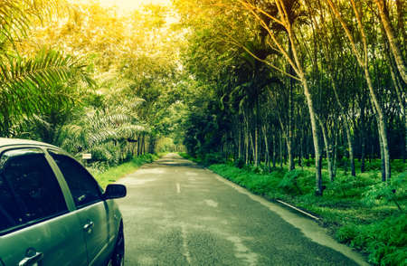Car on the road with nice view of green plant in Thailand  ,travel,summer,holiday,journy  background