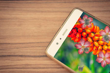 mobile  with  flower picture and butterfly on brown wood texture  abstract  technology and  nature...
