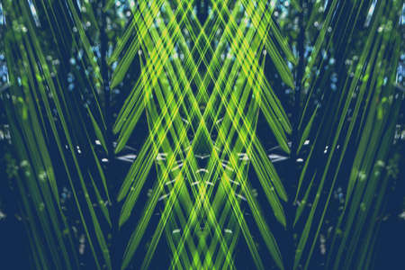 abstract green leaves texture  background