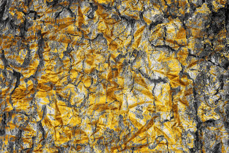 black and  gold  grunge  texture for backgroundの写真素材
