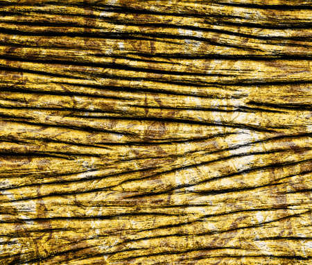 black and  gold  grunge  texture for backgroundの写真素材