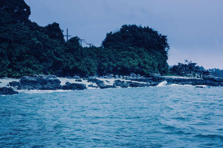  the beach and sea   with green plant background の写真素材