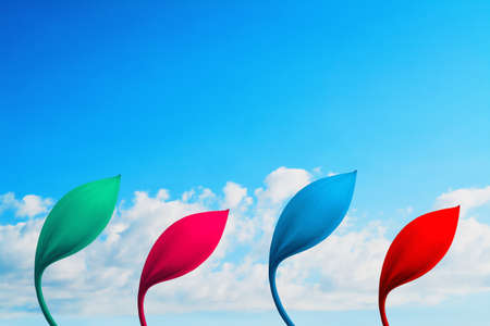 colorful flower with blue sky  background 