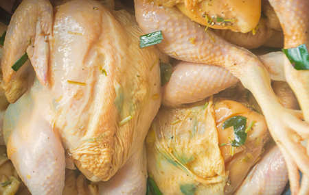 fresh chicken with herb  prepare  for cookingの写真素材