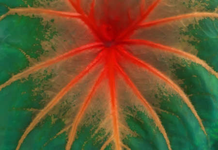 reggae background,colorful background design