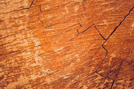 reggae background,colorful background designの写真素材