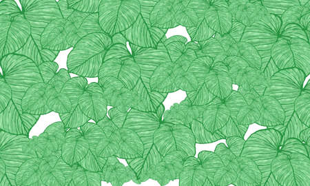 green  tropical  leaves spring pattern ,hand  drawn illustration   wallpaper background