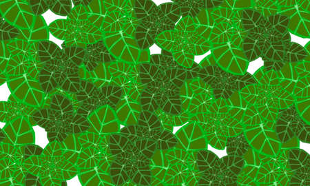 green  tropical  leaves spring pattern ,hand  drawn illustration   wallpaper background